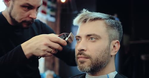 Man with Gray Hair Cuts Hair at a Professional Hairdresser in the Salon
