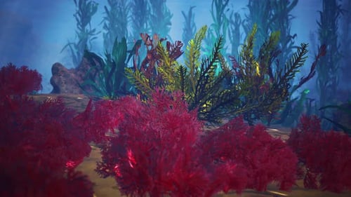 Underwater Coral Reef with Sun Rays