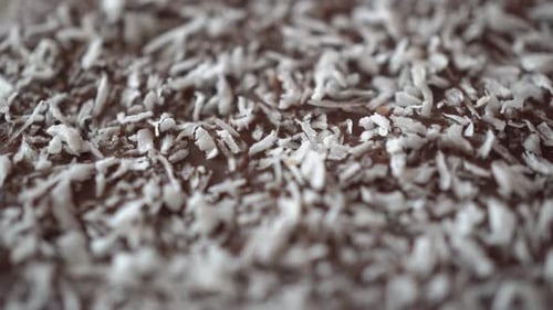 Rotation Coconut Chip Cookies