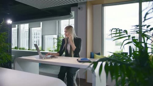 Trendy Business Woman Watching Laptop and Speaking on Phone. Stylish Young Blond Woman Working in