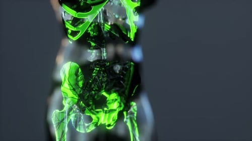 Xray Full Body of Skeleton in Brightness Glow