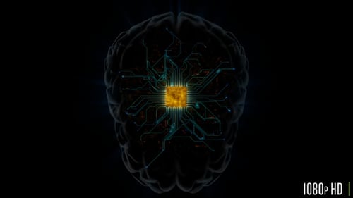Brain Microprocessor Hardware with Connections Concept for Artificial Intelligence
