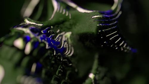 Crâne humain avec accents métalliques en gros plan