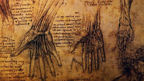 Dibujos de anatomía