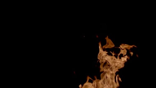 Closeup Real Fire on Black Background