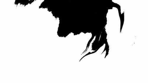 Bloom Ink. Beautiful White Watercolor Ink Drops Transition on Black Background.