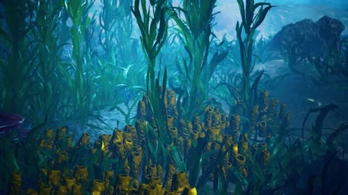 Underwater Coral Reef with Sun Rays