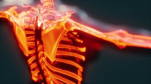Xray Full Body of Skeleton in Brightness Glow