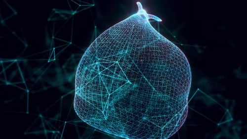 Garbage Bag Hologram Close Up 4k