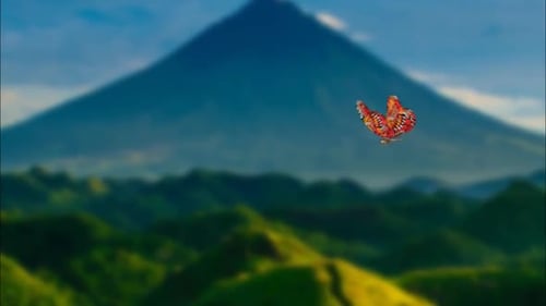 Butterflies Transition v2 4k