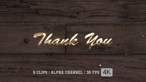 Thank You Text Animation