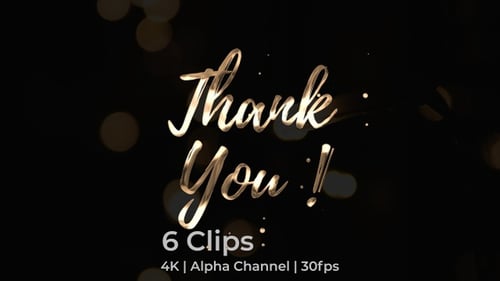 Thank You Text Animation