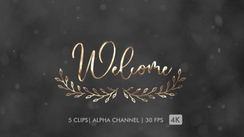 Welcome Text Animation