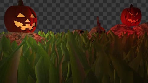 Alpha-Video zur Horrorszene