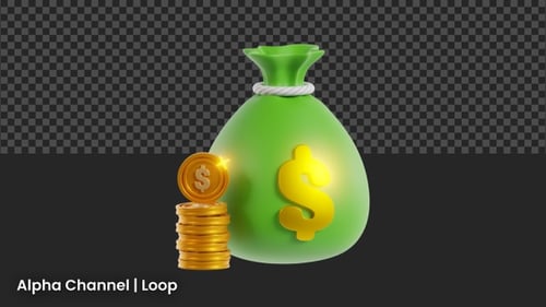 3D Money Bag Animation | Alpha Channel