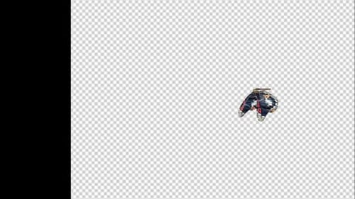 Butterflies Transition v3