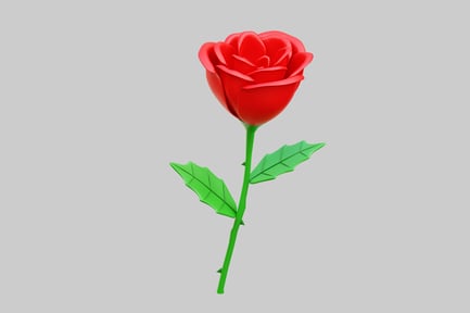 Preview: Elegant Red Rose Blooming With Green Leaves