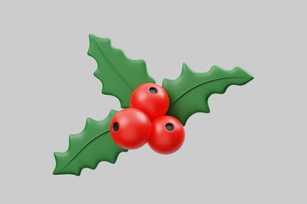 Aperçu: Branche de houx aux fruits rouges et aux feuilles vertes